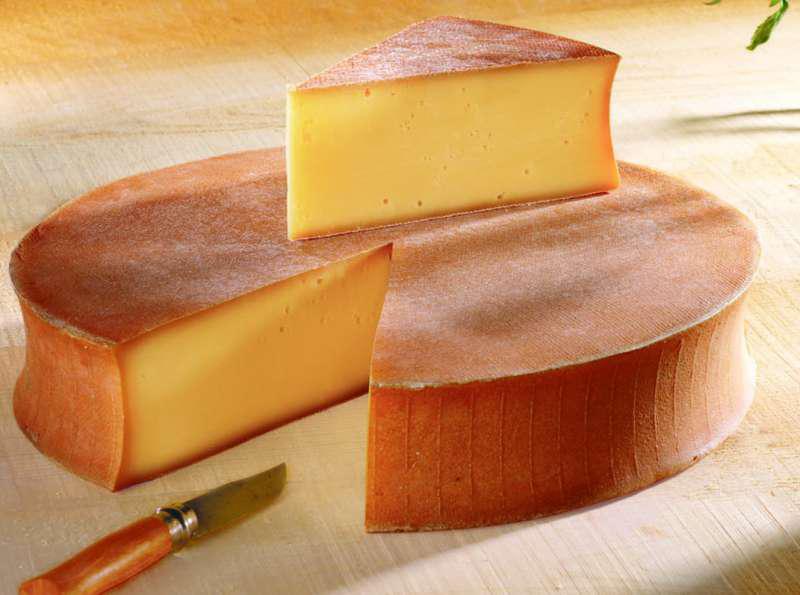Сыр Абонданс: польза и каллорийность продукта