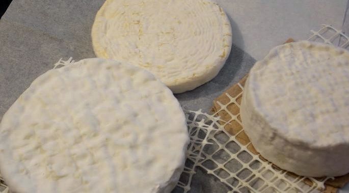 Домашний сыр бри: рецепт приготовления