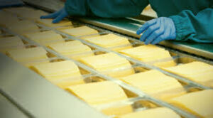производство сыров