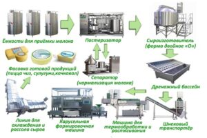 Характеристика основных процессов в производстве сыра