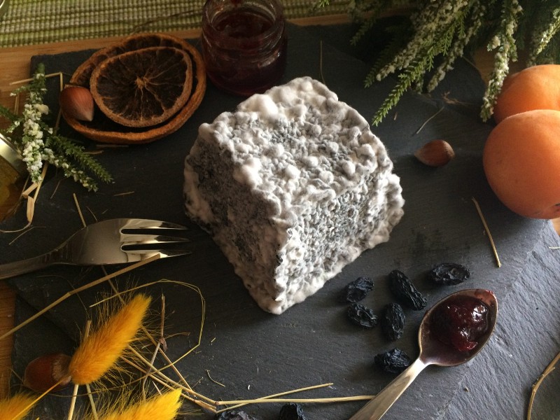Валансе сыр с плесенью – описание, фото и рецепт